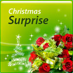 Christmas Surprise