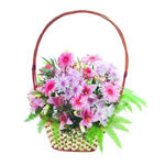 Basket Perfectly Pink 