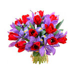 Iris & Red Tulip Bouquet