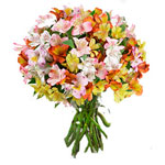Alstroemeria Bouquet
