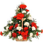 Christmas Flowers Arranged