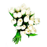 White tulip bouquet